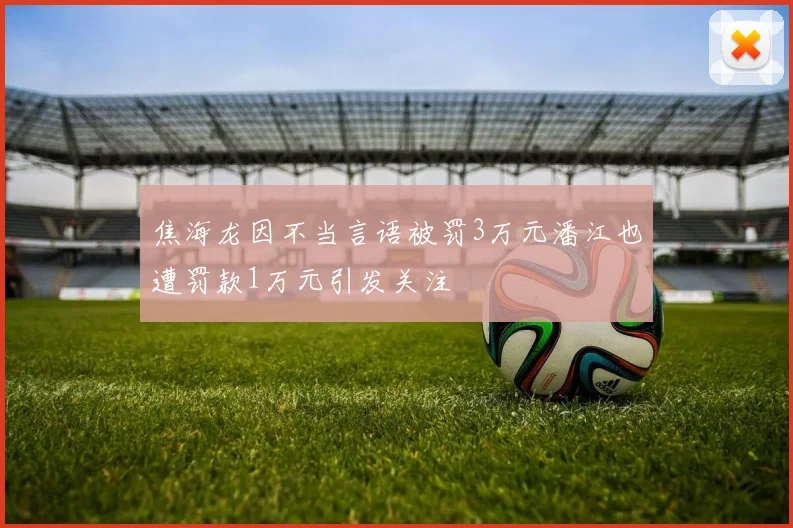 焦海龙因不当言语被罚3万元潘江也遭罚款1万元引发关注